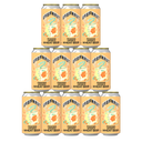 Panama Orange Wheat Beer