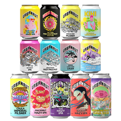 HOUSE PARTY PACK - 13 Mixed Beers