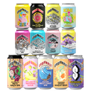 HOUSE PARTY PACK - 13 Mixed Beers